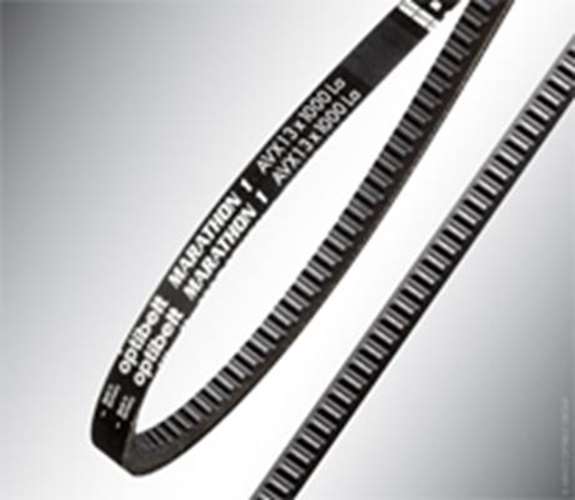 optibelt MARATHON X AVX 13 x 1750 Keilriemen - flankenoffen, verzahnt
Der optibelt MARATHON X wurde für den Antrieb von Nebenaggregaten in Motoren von PKW und leichten NKW entwickelt.
Dieser flankenoffene und formgezahnte Keilriemen zeichnet sich durch se